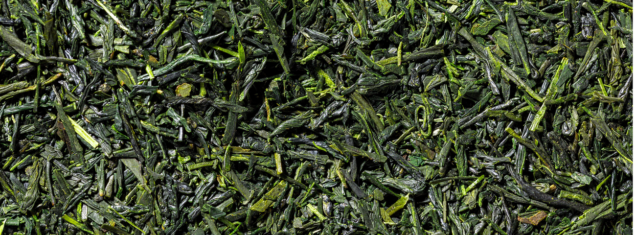 Sencha