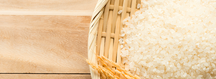 Tous nos riz