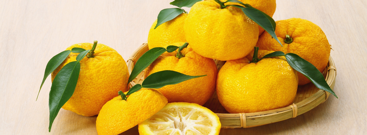 Yuzu & fruits