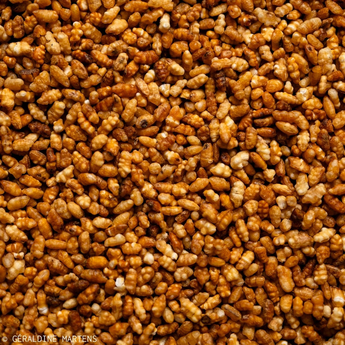 Riz brun soufflé torréfié
