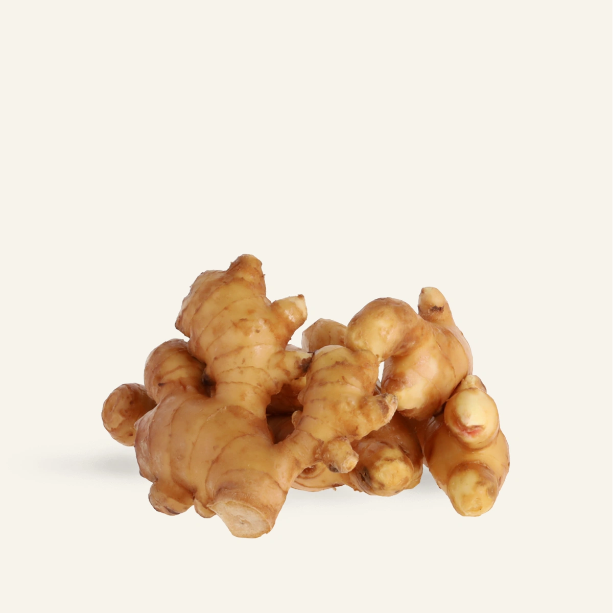 Gingembre frais japonais