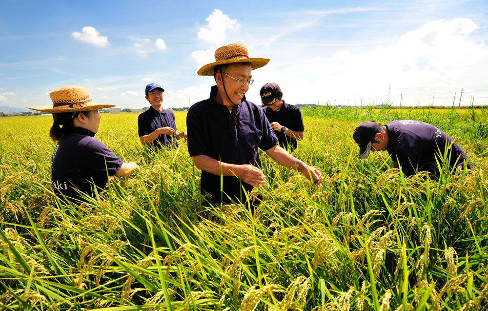 Agri Yamazaki