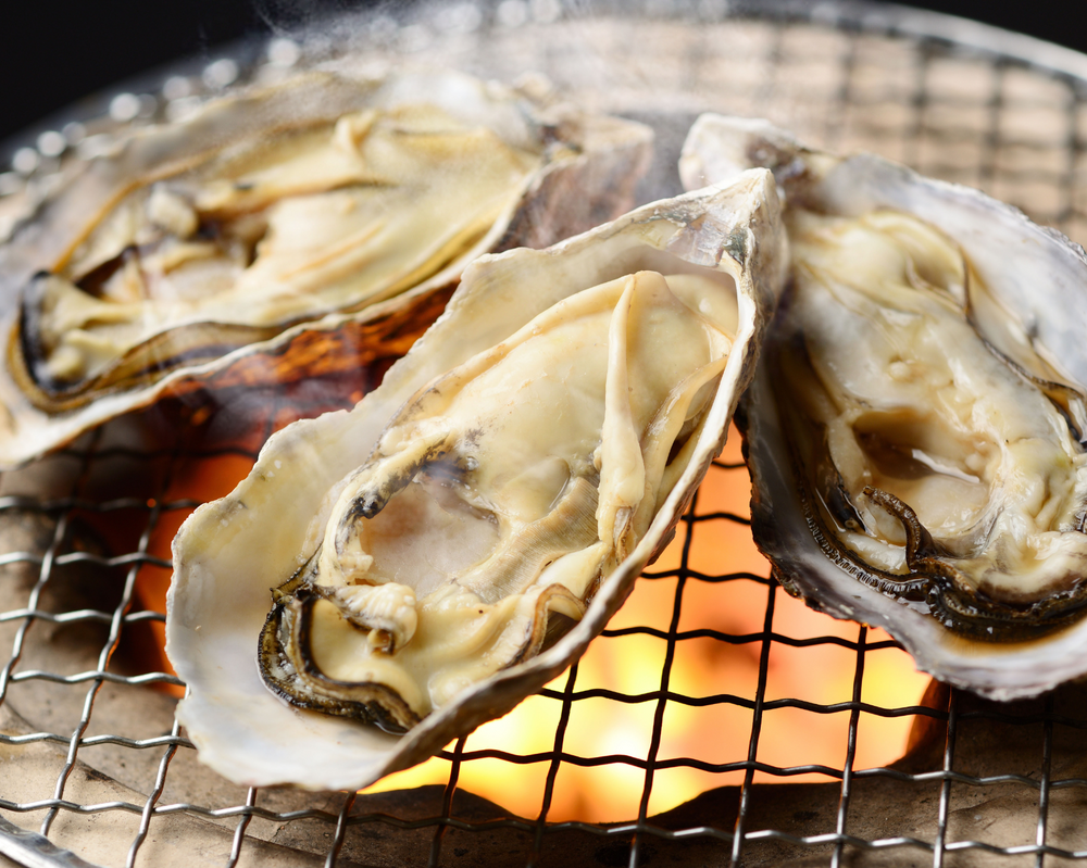 Japanese barbecues