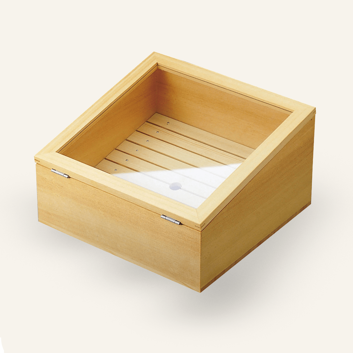 Netabako Raw Fish Box