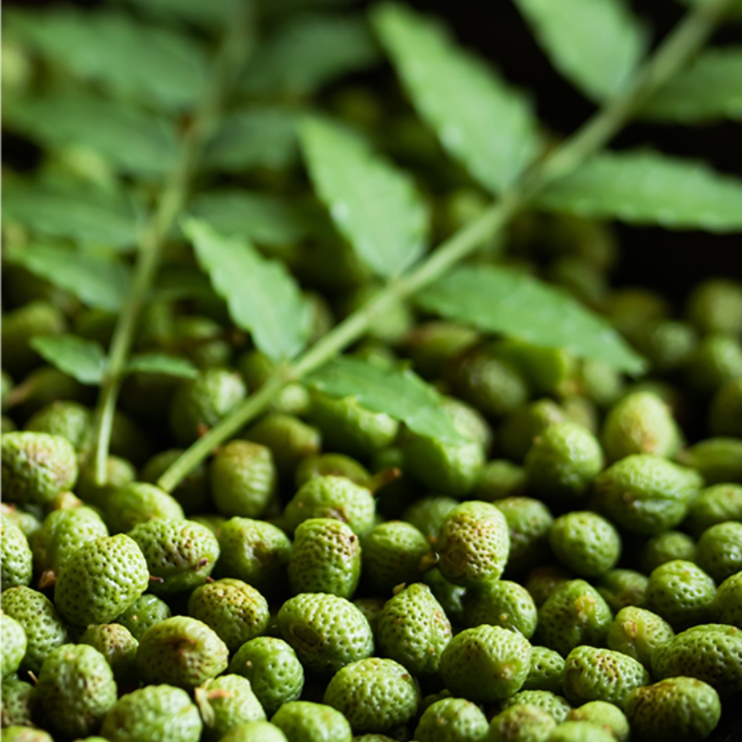 Baies de Budo Sansho vert de Wakayama 15g