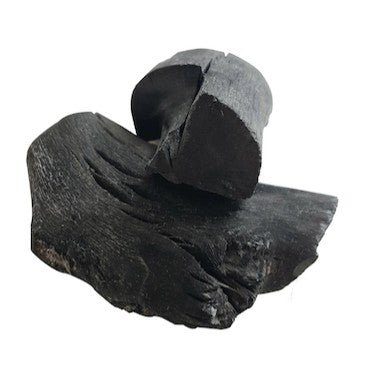 Charbon binchotan Ikkyu pour BBQ 600g