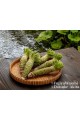 Azumino fresh wasabi roots
