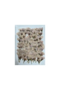 Edible dried Sakura flowers (50 flowers)