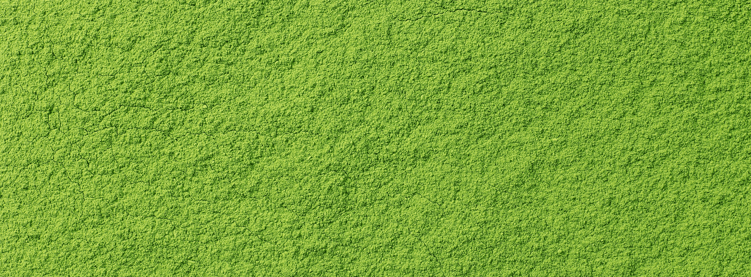 Thé matcha japonais
