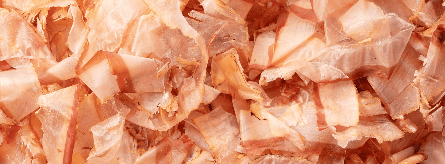 Katsuobushi