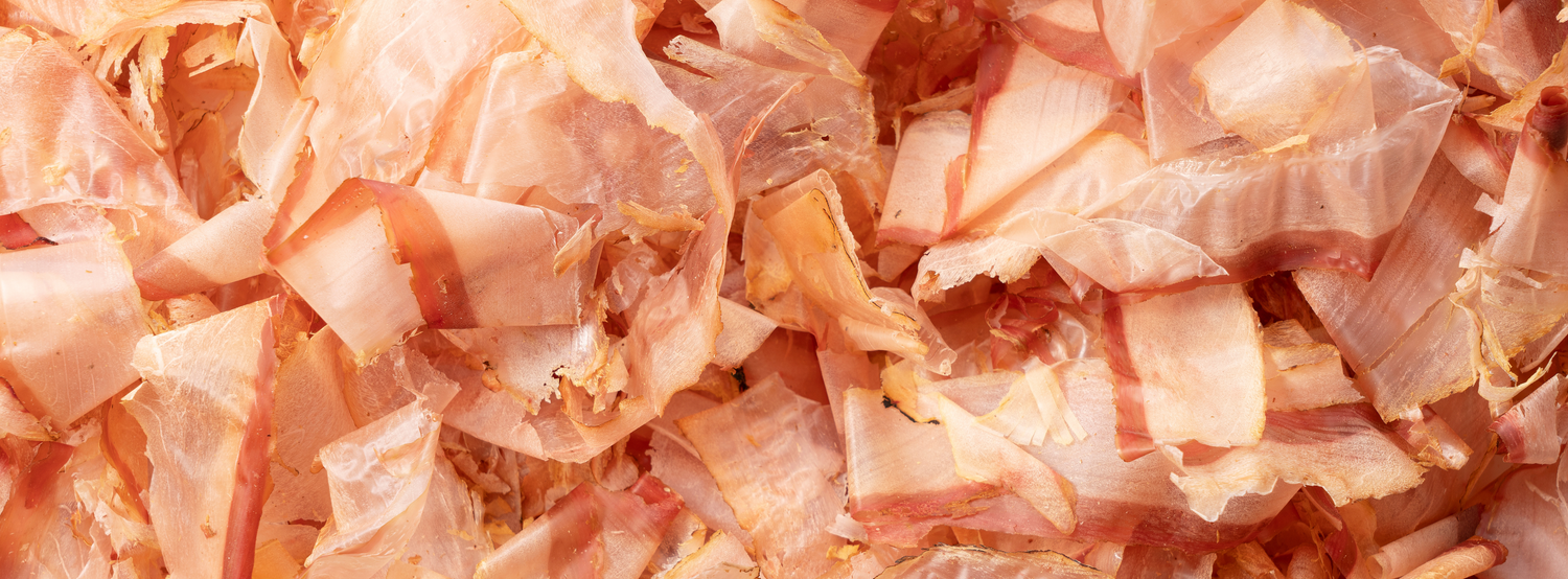 Katsuobushi