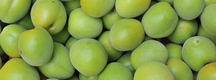 Umeshu