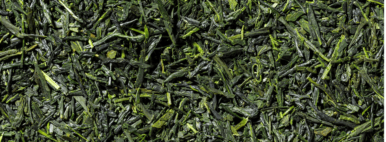 Sencha