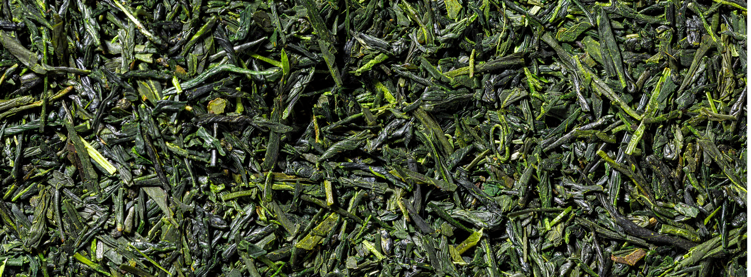 Sencha