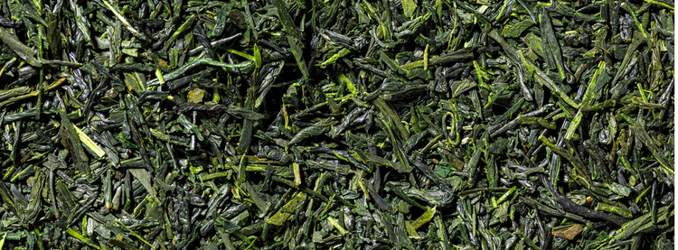 Sencha
