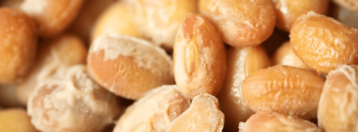 Produits fermentés