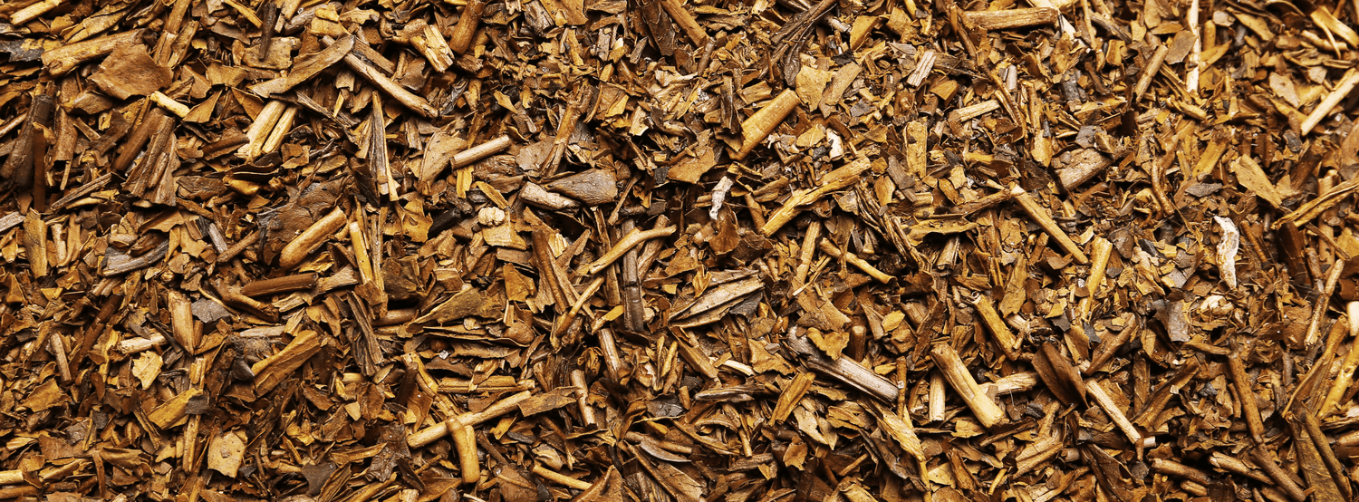 Hojicha