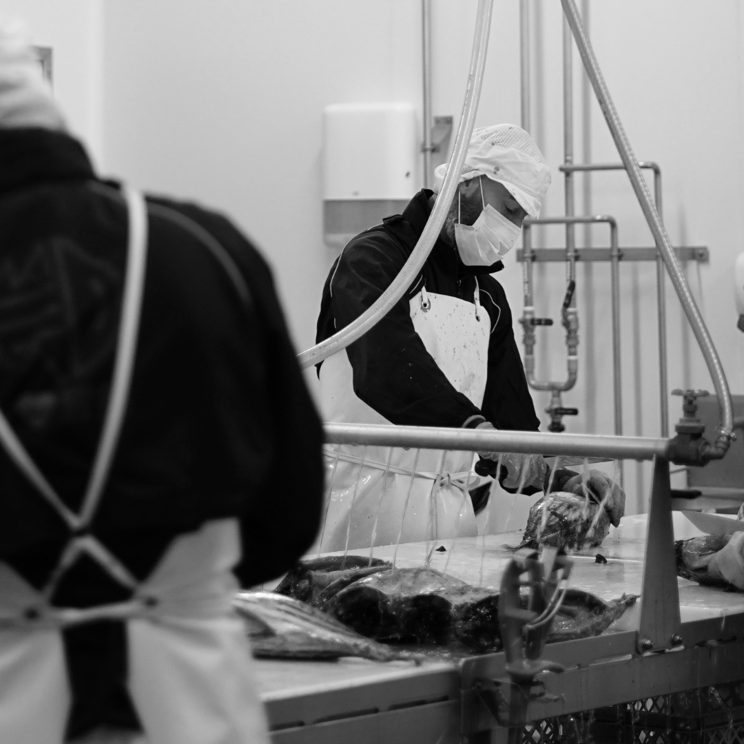Makurazaki France - UMAMI