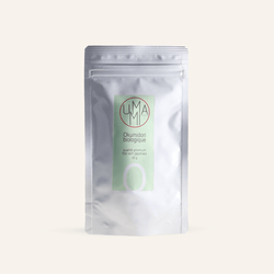 Thé Okumidori Premium Bio 50 g