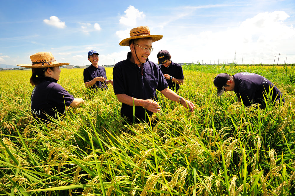 Agri Yamazaki