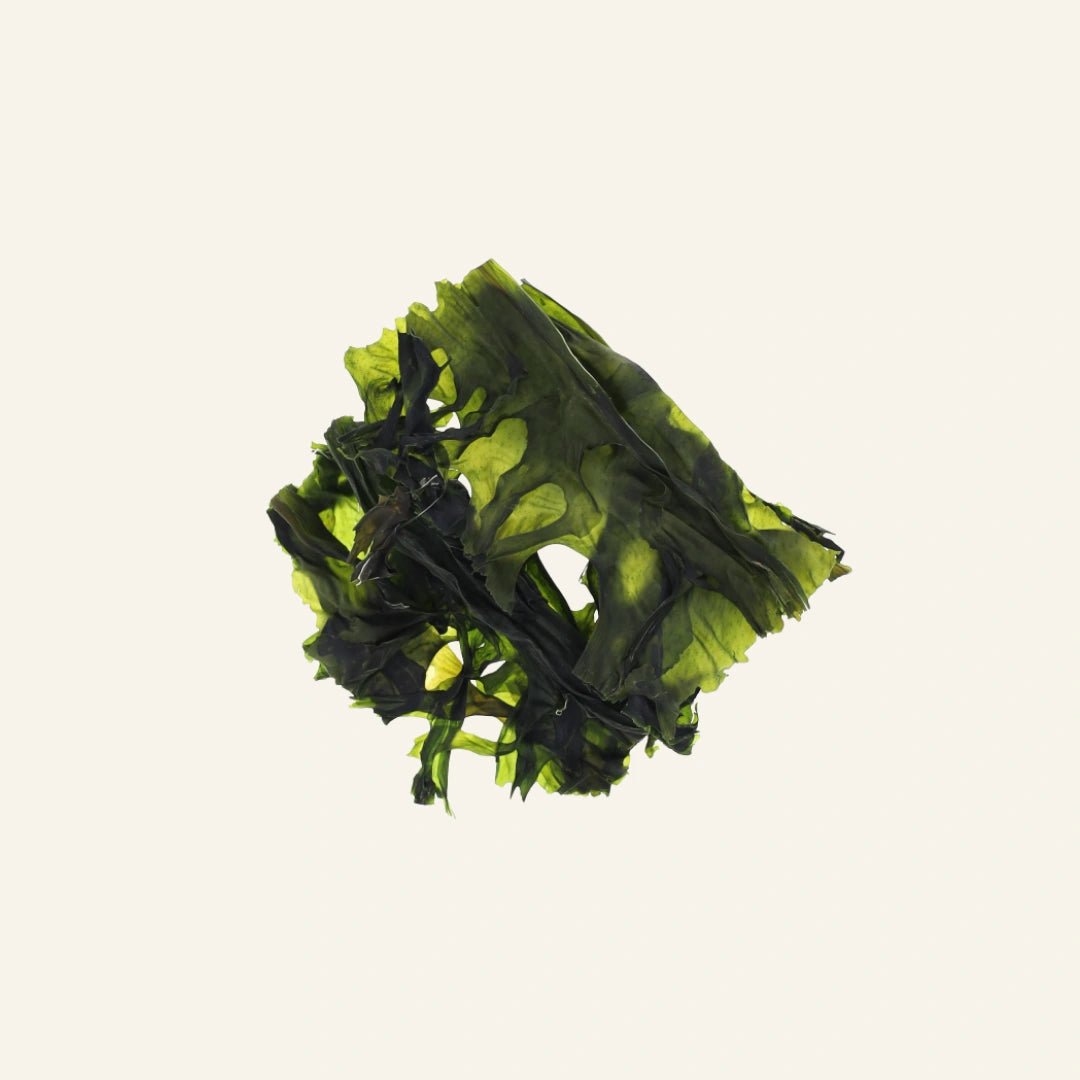 Wakamé séché en morceaux premium 10 g