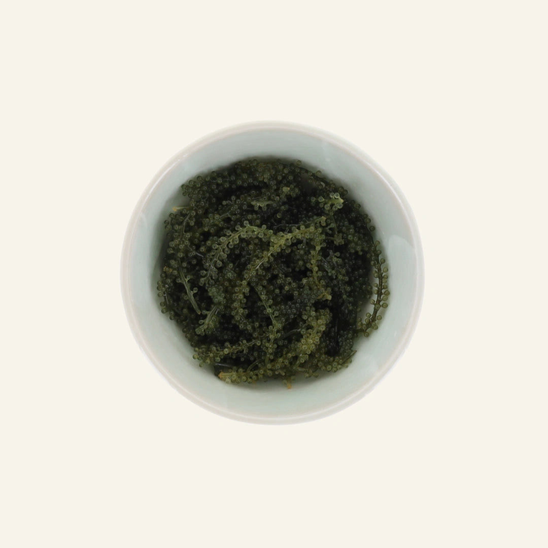 Umi budo - algues raisin de mer 40 g