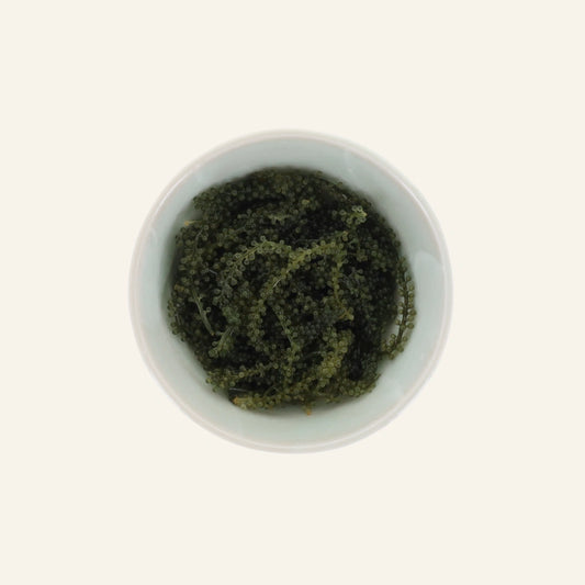 Umi budo - algues raisin de mer 40 g
