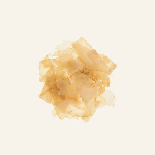 Flocons de bonite katsuobushi premium - 500 g