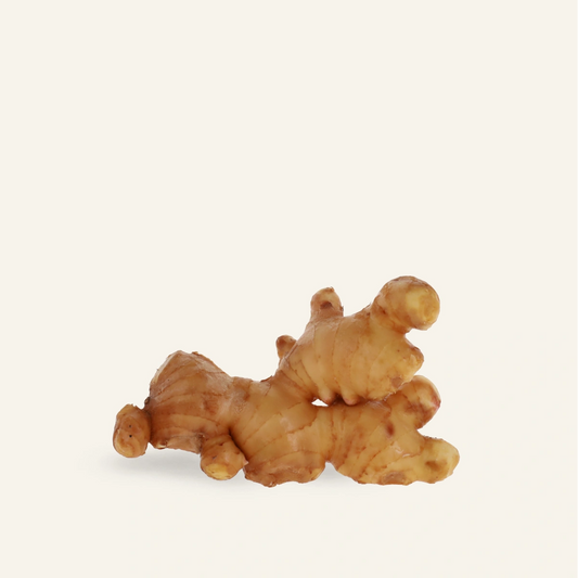 Fresh Japanese ginger