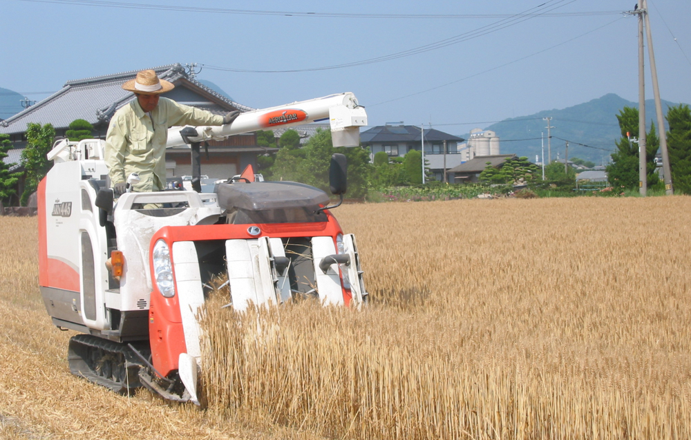 Ishimaru Seimen