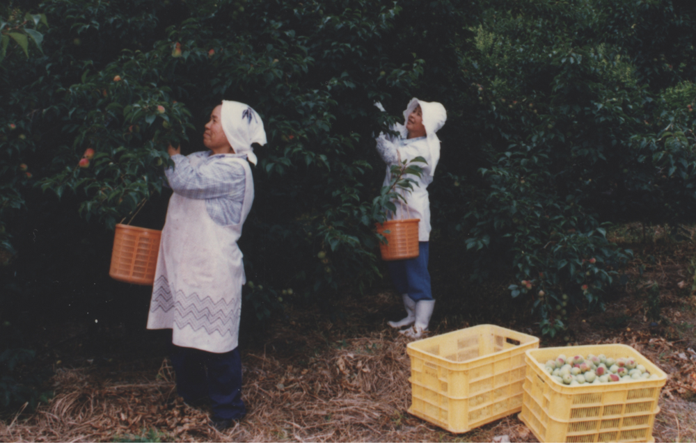 Maruyama Foods