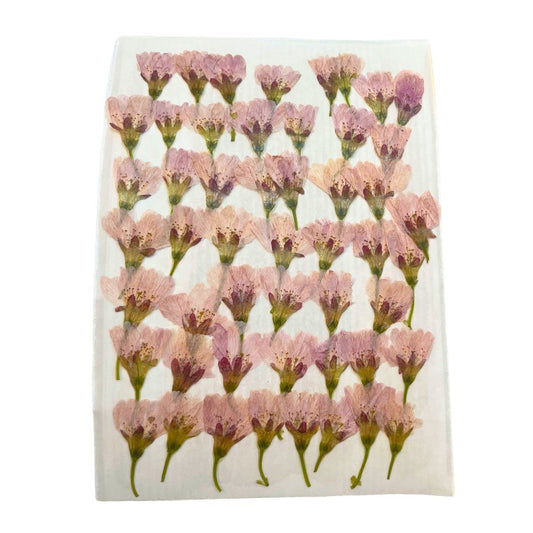 Fleurs alimentaires de Sakura séchées (50 fleurs)