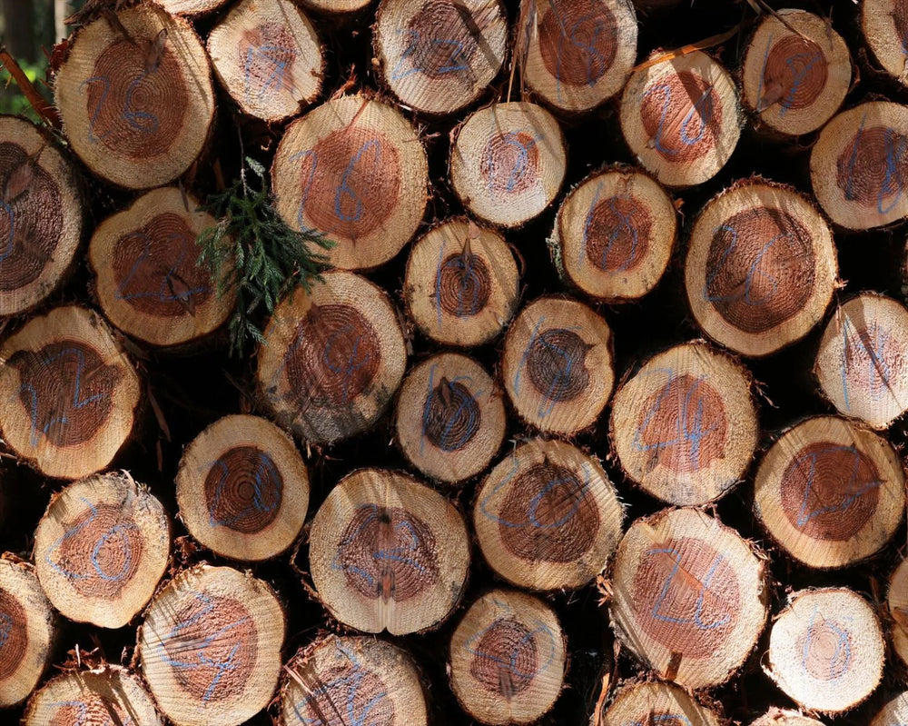 Le bois Hinoki