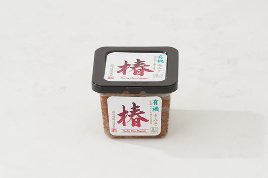 Miso de campagne à l'orge bio 500g