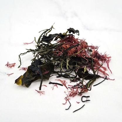 Salade d'algue japonaise premium 18 g