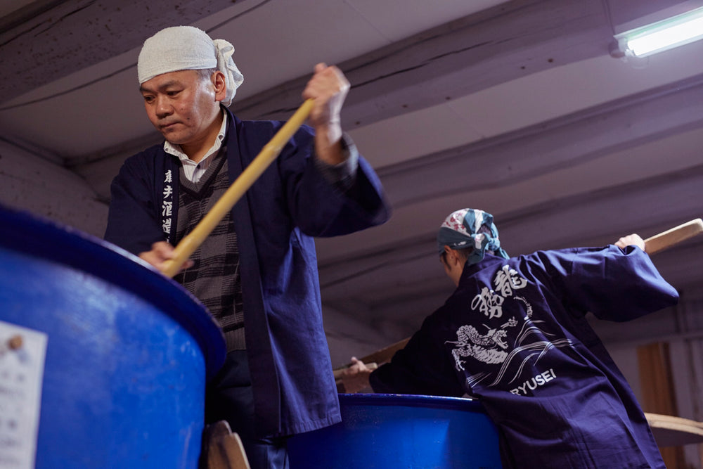 Fujii Shuzo