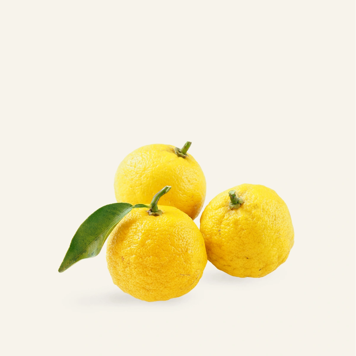 Yuzu frais japonais