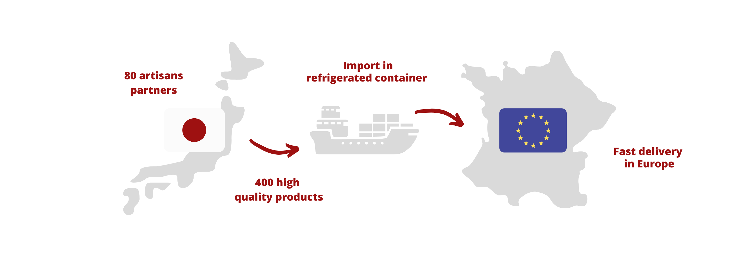 import export schema